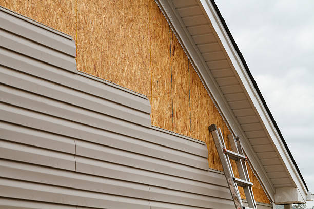 Professional Emergency Siding Repair technician working in Thonotosassa, FL